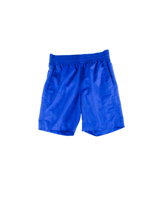 Louis Vuitton Swim Shorts