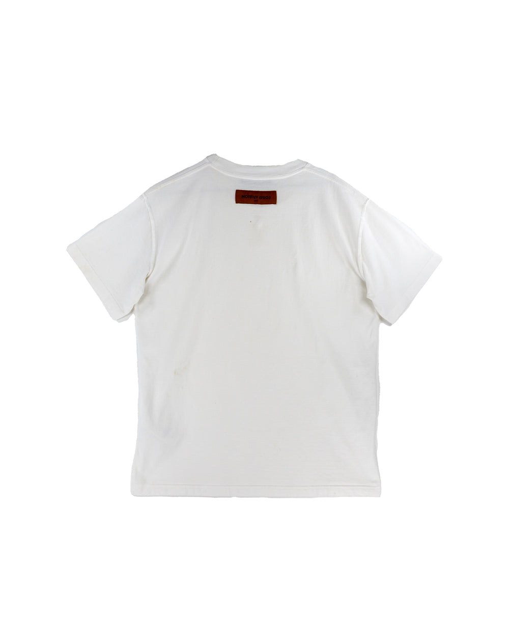 Louis Vuitton T-Shirt and Swim Shorts Set