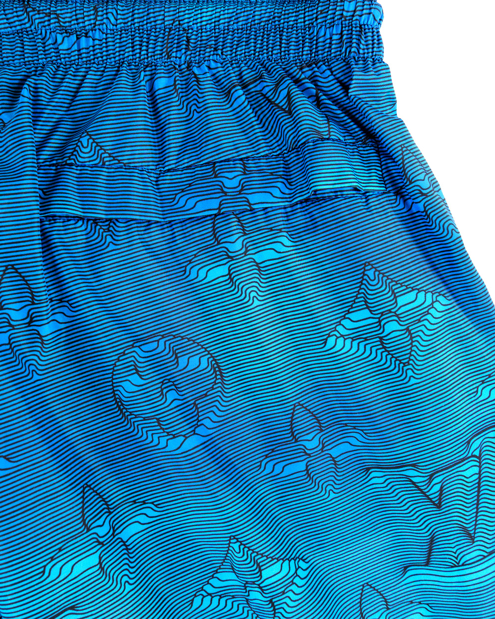 Louis Vuitton Swim Shorts