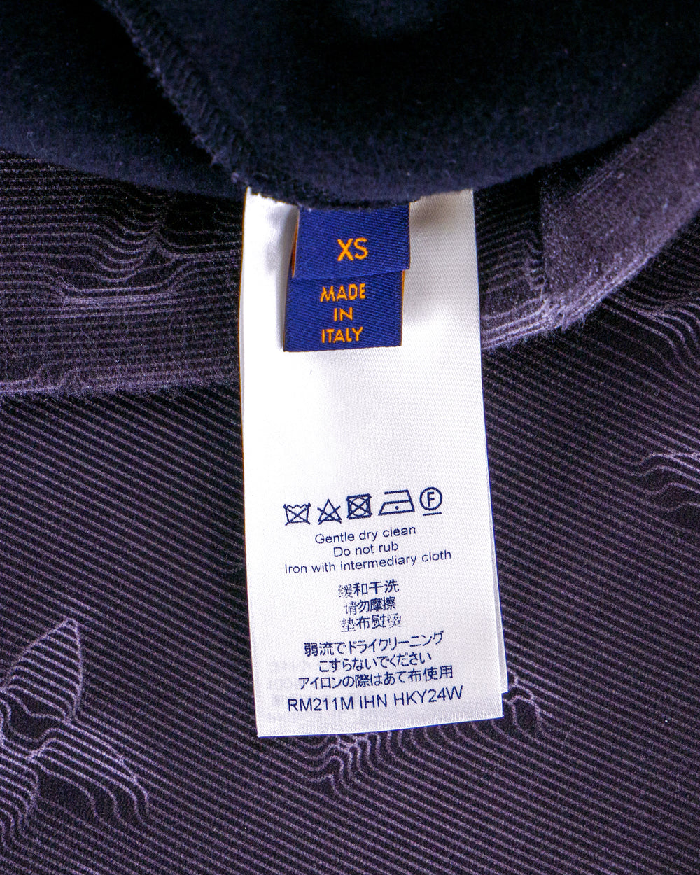 Louis Vuitton 2054 Hoodie