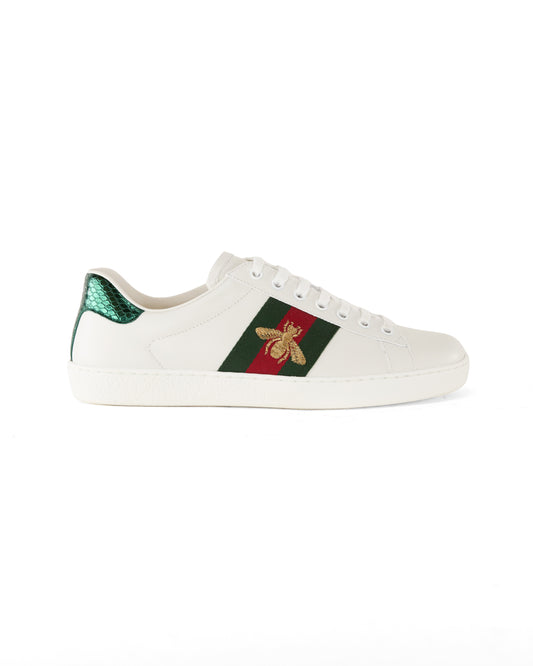 Gucci Trainer