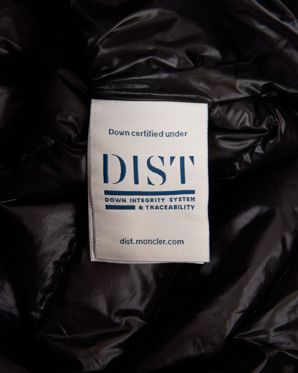 Moncler Jacket
